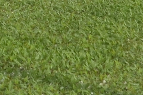 viomixaniki tomata